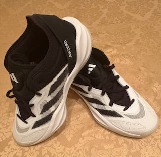 Tenis