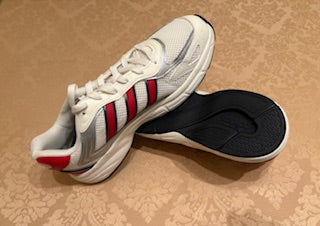 Tenis